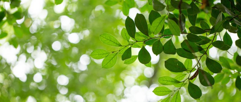 環(huán)境影響評(píng)價(jià)的分類(lèi)介紹
