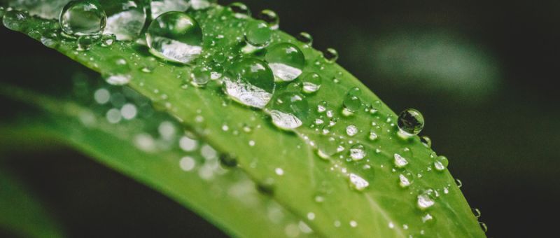 環(huán)境影響評(píng)價(jià)的常用術(shù)語(yǔ)介紹